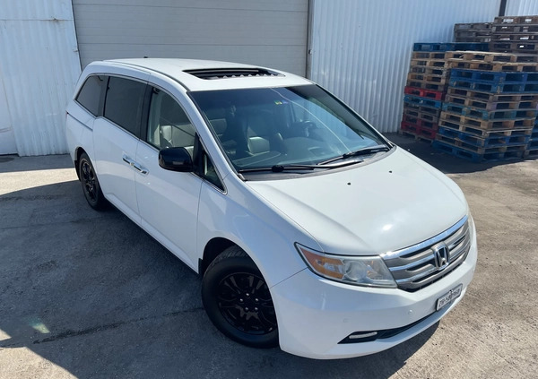 Honda Odyssey cena 69000 przebieg: 236500, rok produkcji 2011 z Lewin Brzeski małe 352